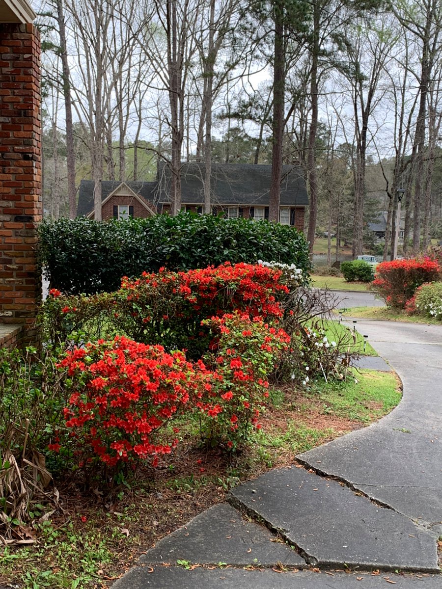 Furnished Finder property 709931_1 photo 4