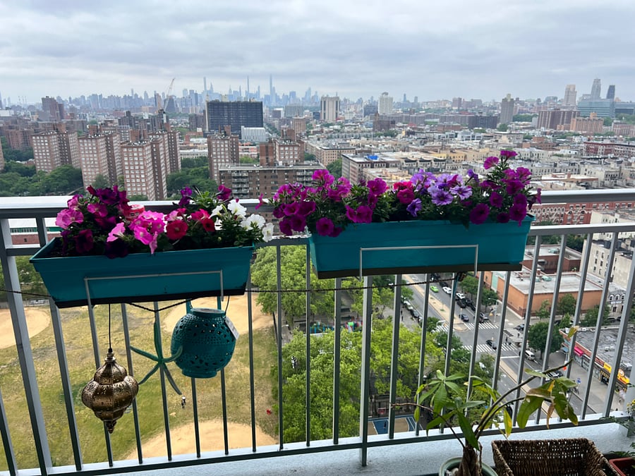 Furnished Finder property 709984_1 photo 10