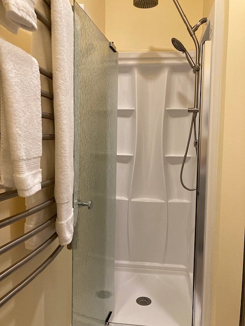 Rain Shower w/handheld and shampoo/conditioner/body wash dispenser, plus towel warmer.