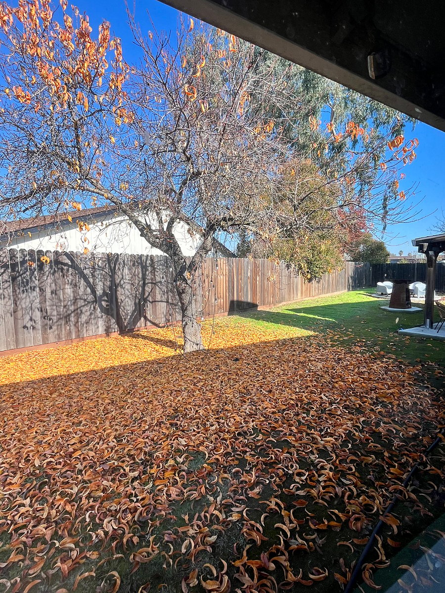Furnished Finder property 710227_1 photo 15