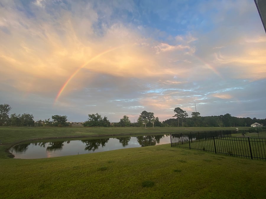 View from the backyard