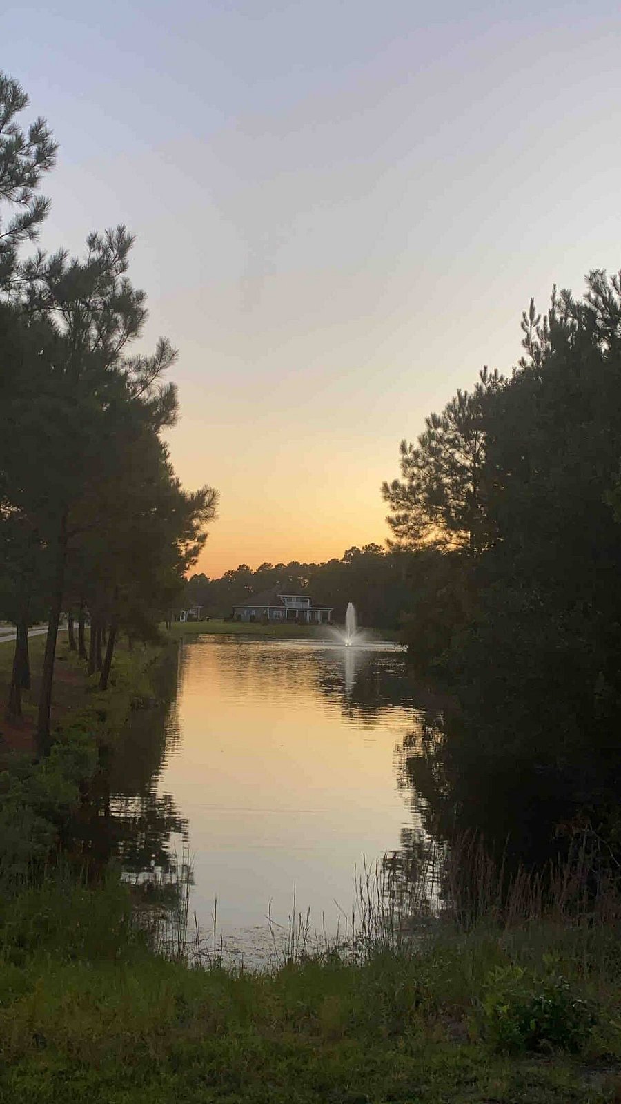 Pond within the neighborhood