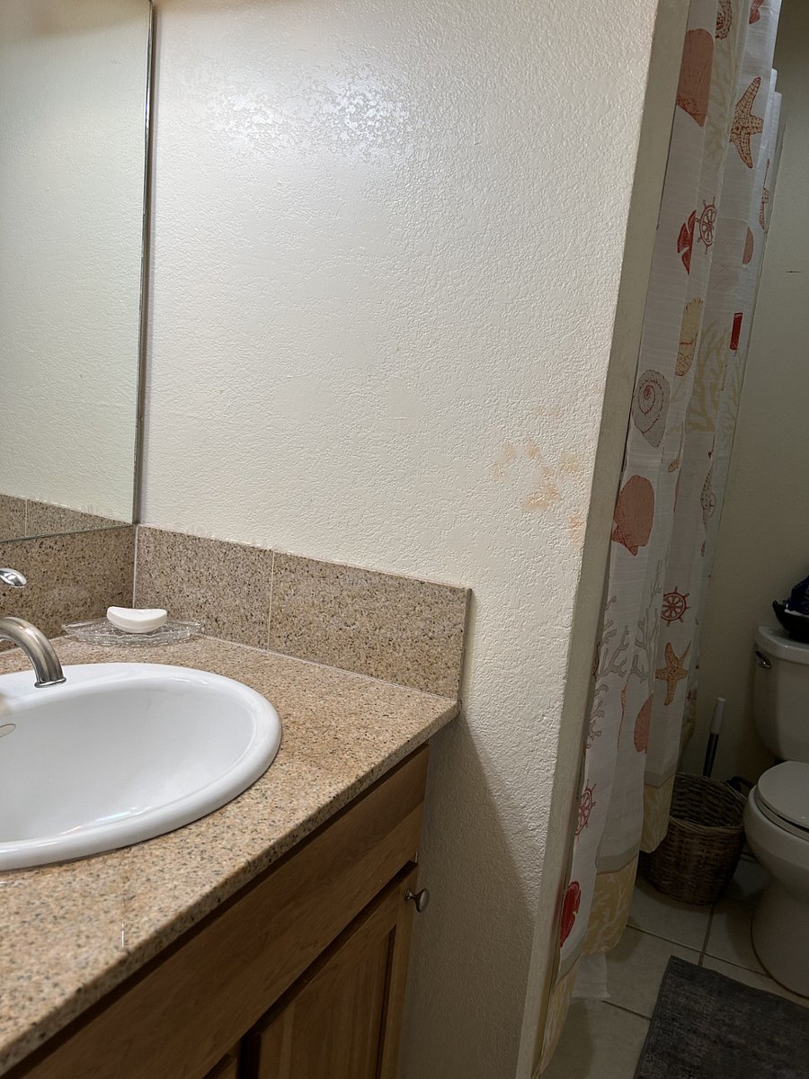 Furnished Finder property 710532_1 photo 3