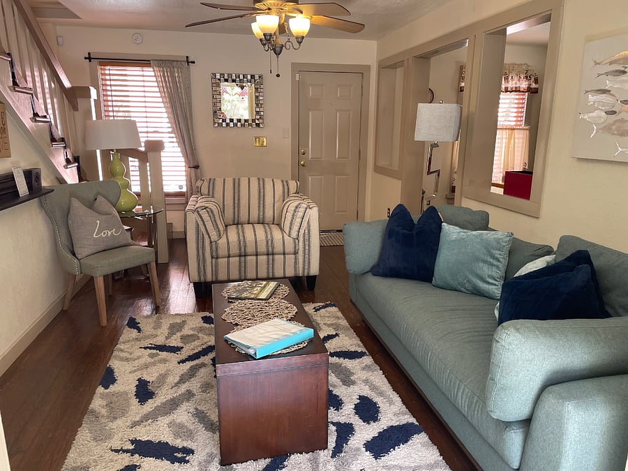 View from Courtyard into Living Room