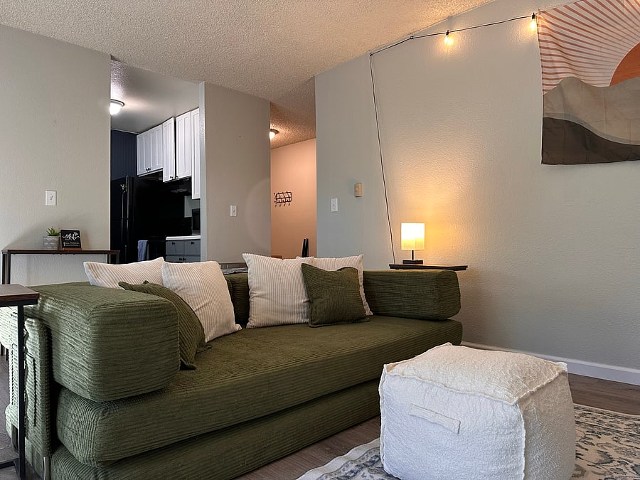 Couch- can pullout into a bed
