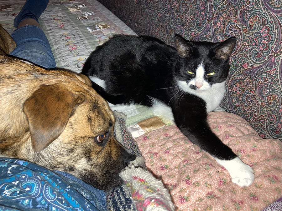Zelda & Maggie T