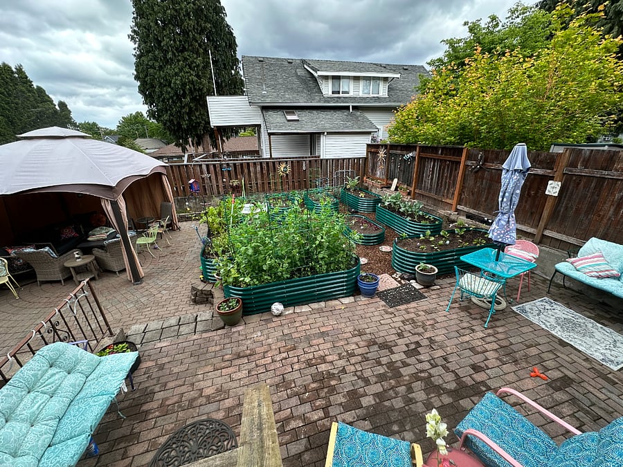 Gazebo and raised bed garden.