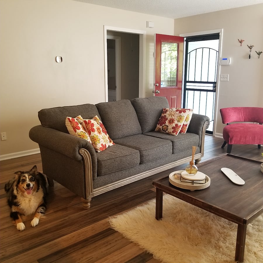 Living room\lounge - Australian Shepard not included :)