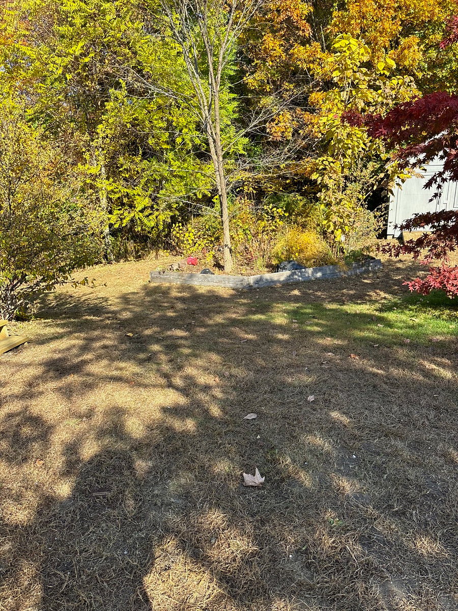 Furnished Finder property 711261_1 photo 29