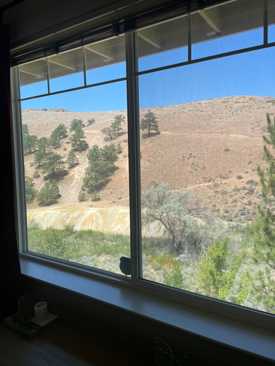 View from Bedroom #2