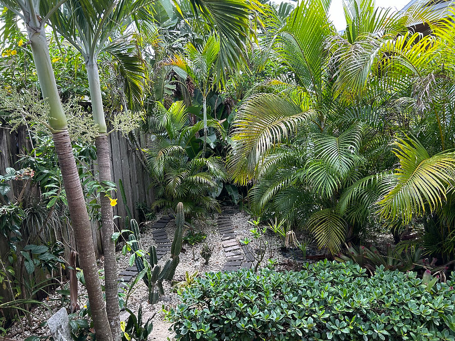 View from the covered porch