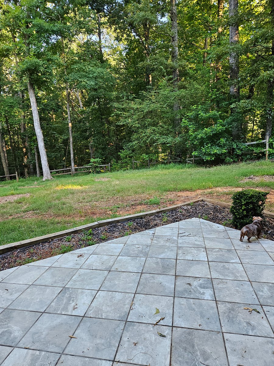 Furnished Finder property 711918_1 photo 17