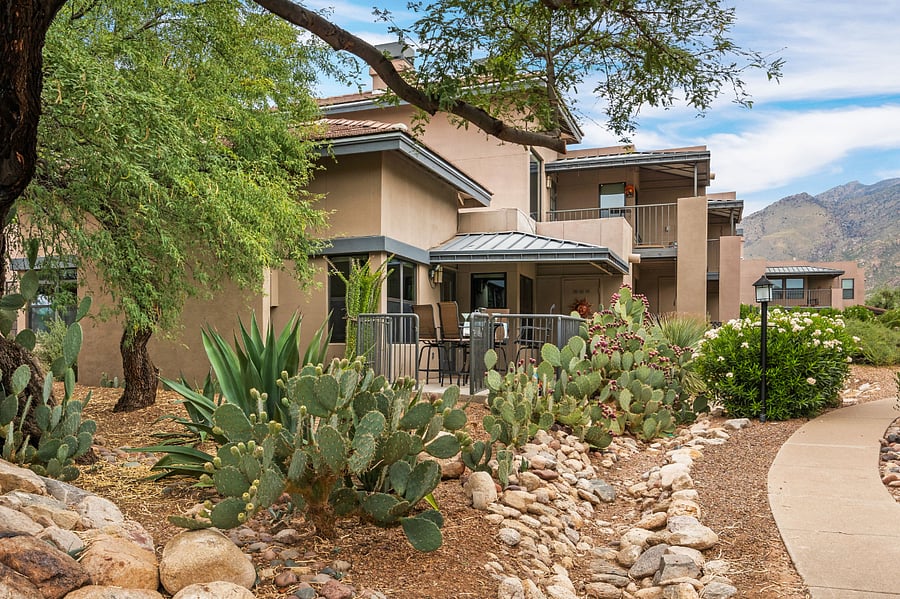 Patio and landscaping