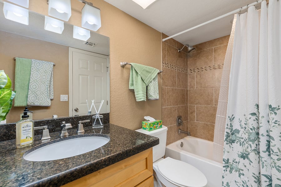 Second / guest bathroom