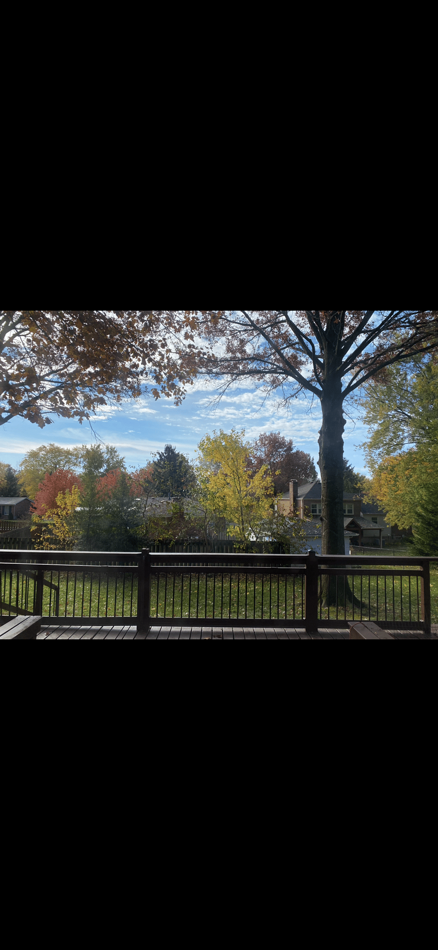 Fall color from the deck