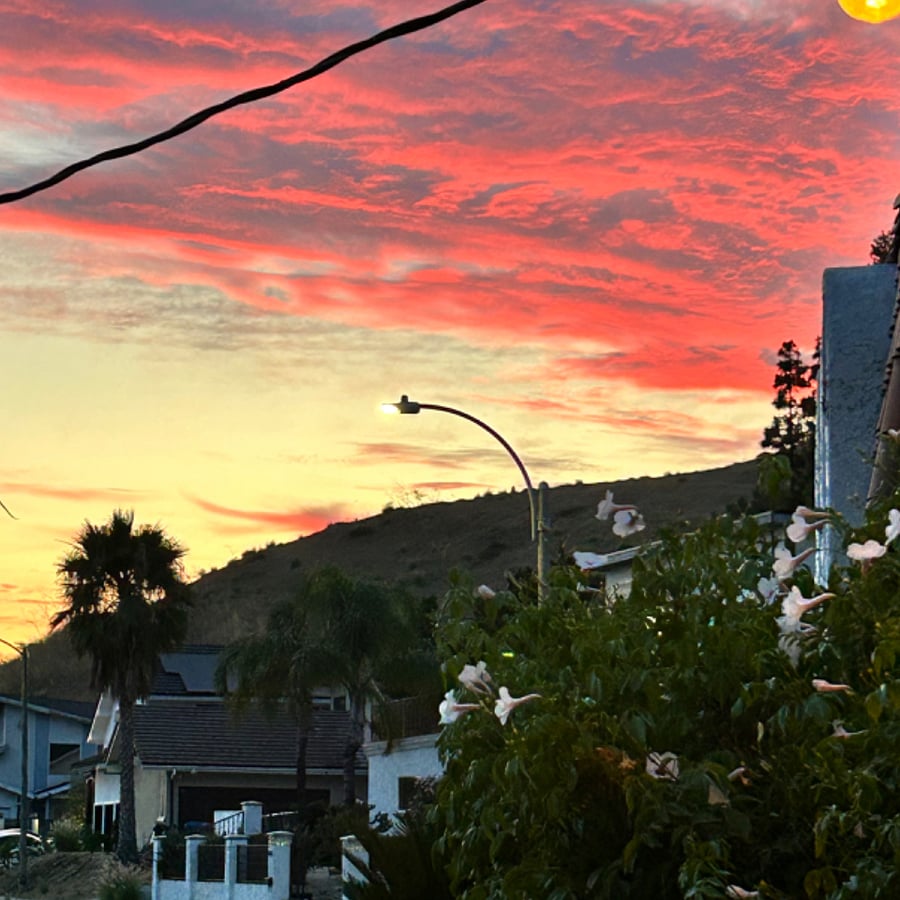 Just a view of the neighborhood street