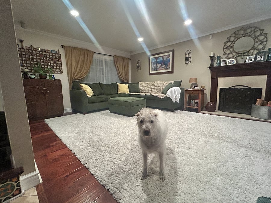 Furnished Finder property 712302_1 photo 22