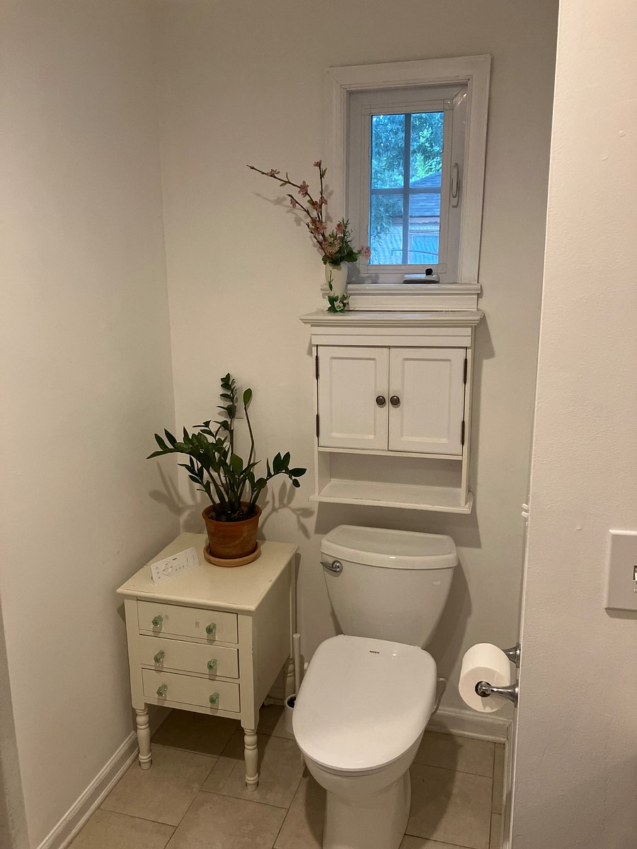 master bath with bidet