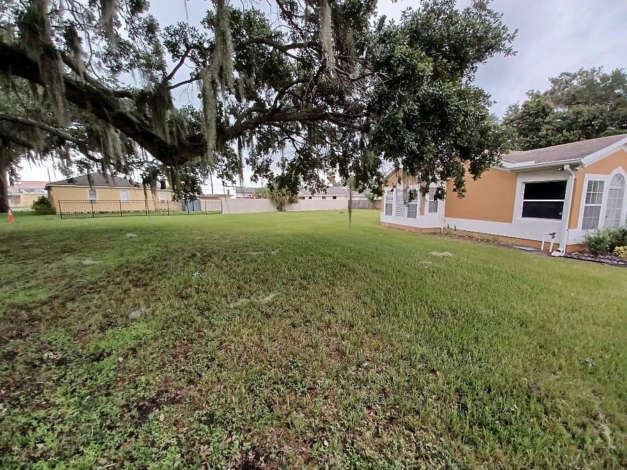 Furnished Finder property 712338_1 photo 16