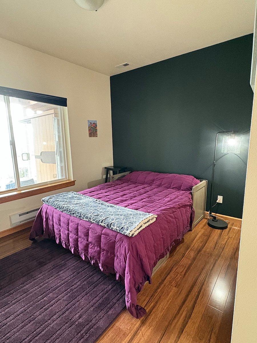 Lower level bedroom 1.