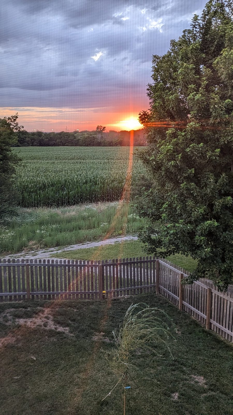 Backyard Views