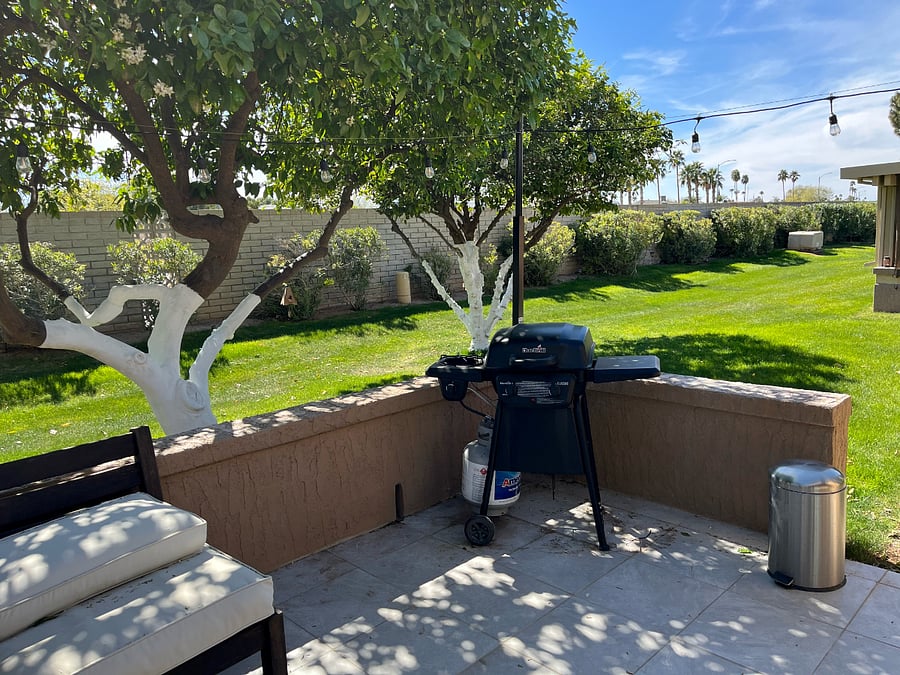 North view of rear patio.  Three fruit trees (blood red grapefruit, blood red oranges, and tangelos).