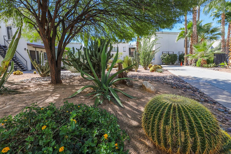 Furnished Finder property 712554_1 photo 18