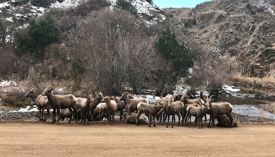 Waterton Canyon