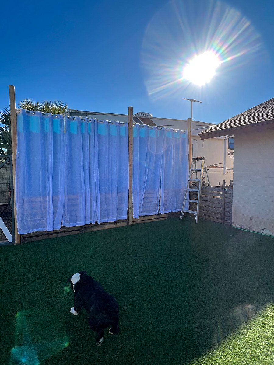 Backyard privacy curtains.