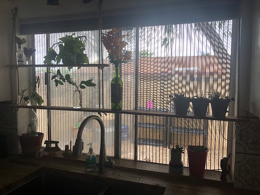 Kitchen window with plant shelf.