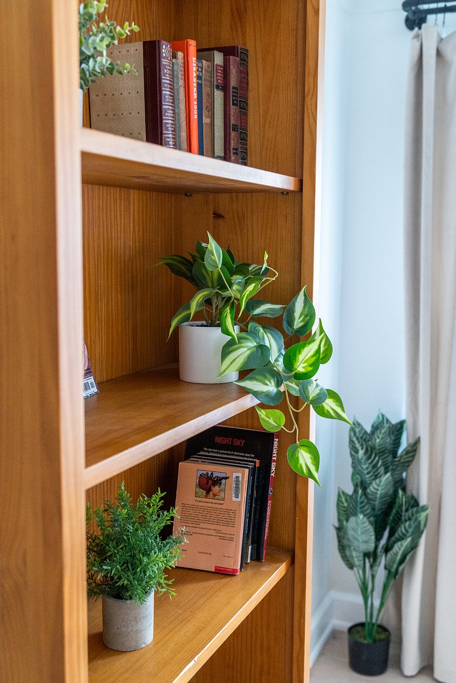 Living Room - Bookshelf Detail