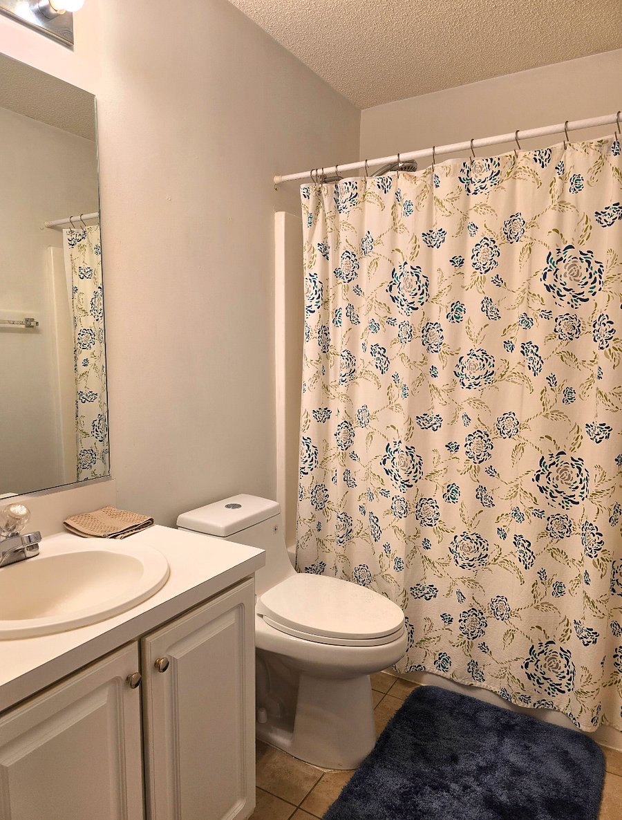 Furnished Finder property 712783_1 photo 13