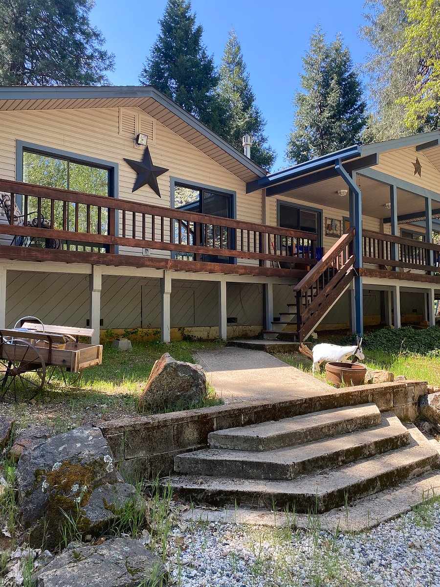 Furnished Finder property 712951_1 photo 3