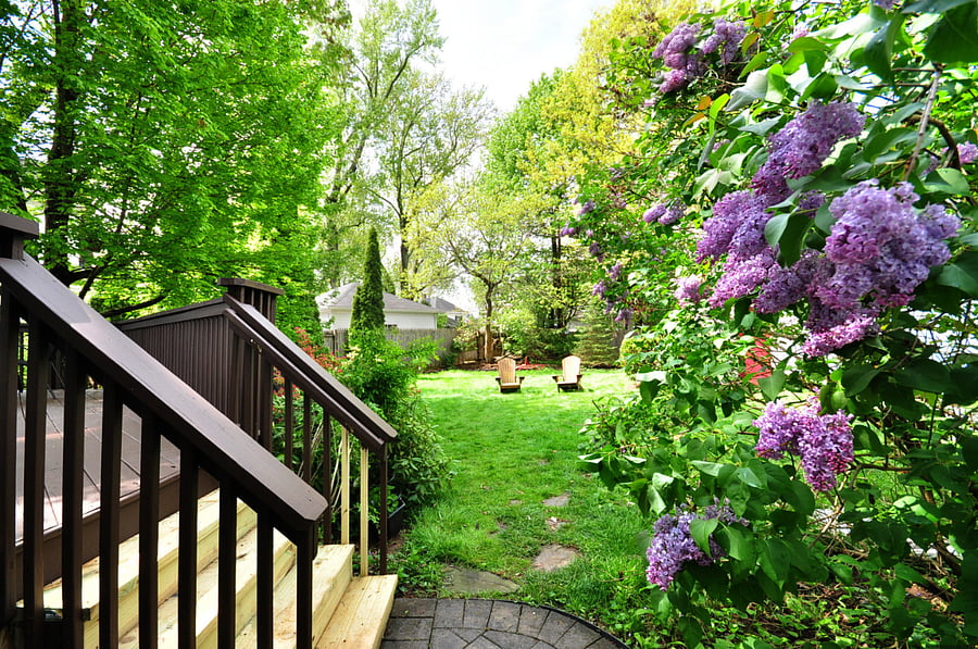 Furnished Finder property 712999_1 photo 20