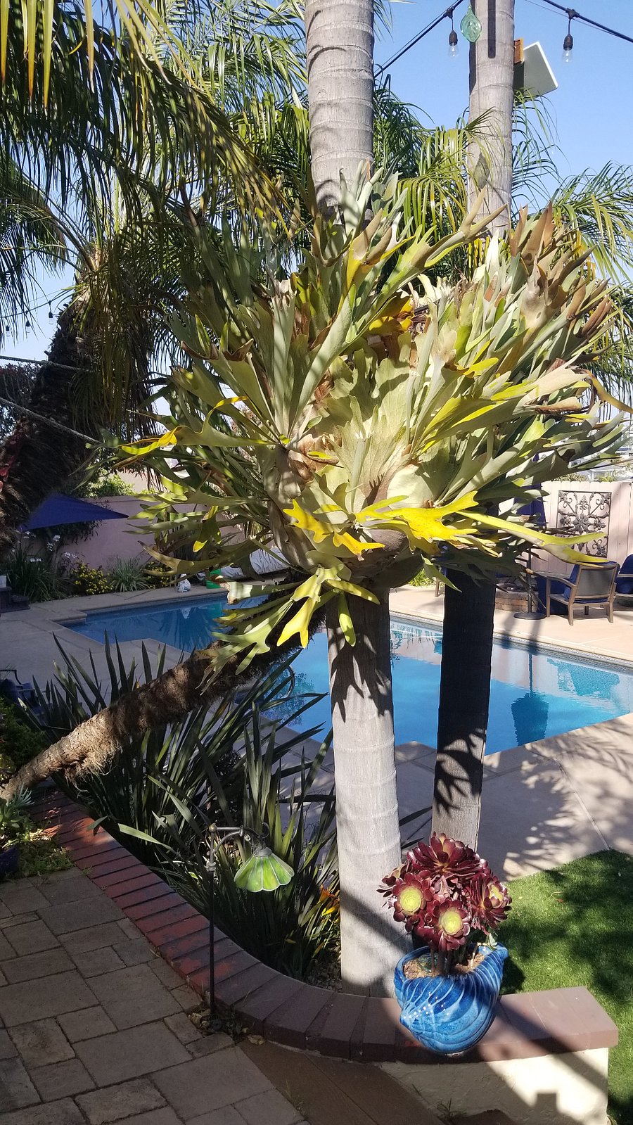 Furnished Finder property 713049_1 photo 10