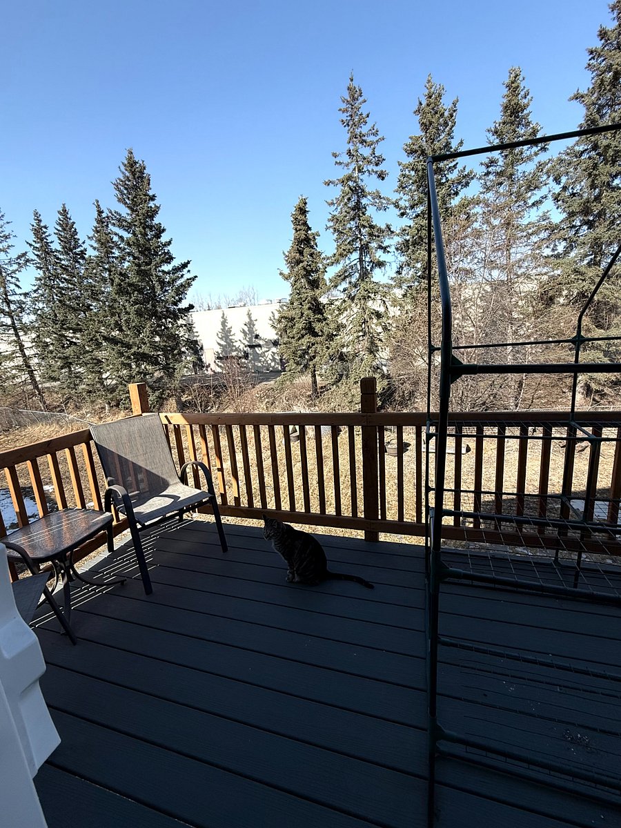 Furnished Finder property 713099_2 photo 5