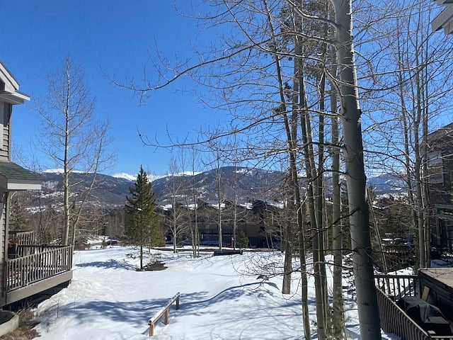 from back deck 