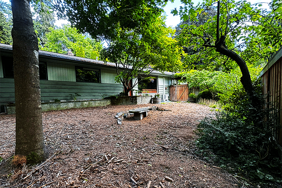 Front yard 