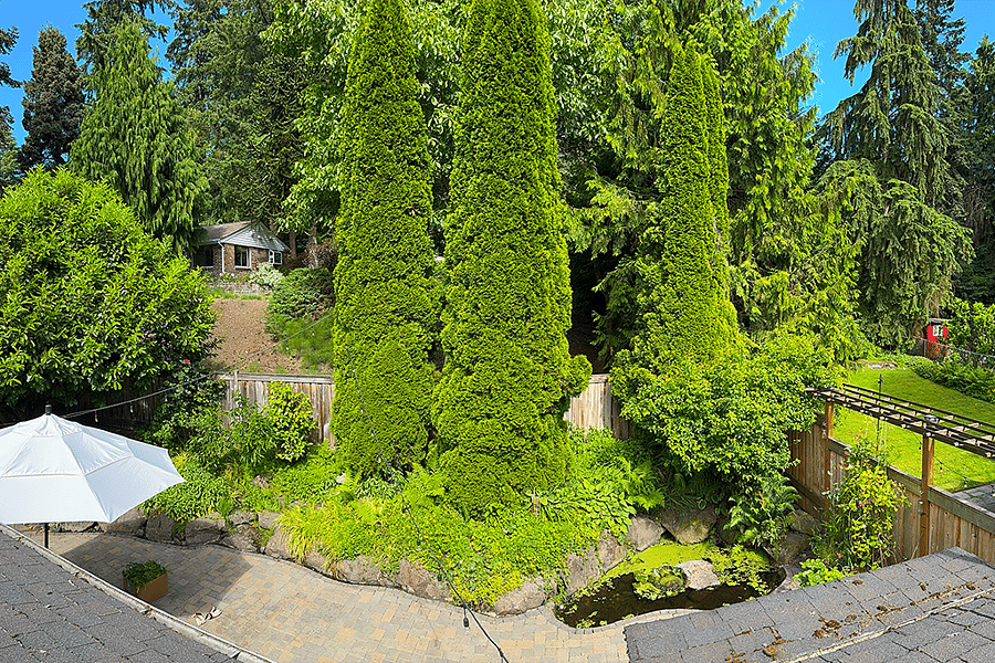 Backyard - roof top view looking over fence showing 2 neighbors above and to the right
