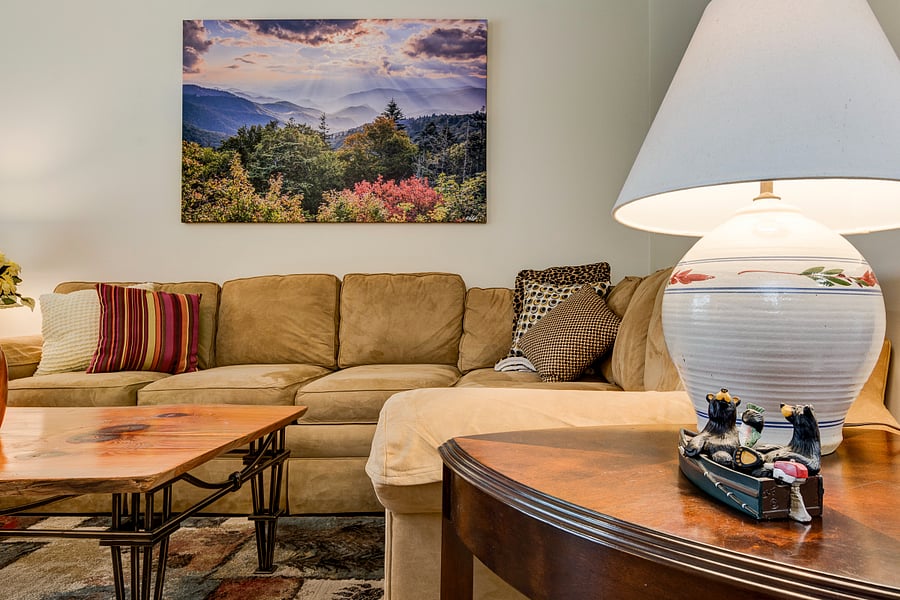 Living room is cozy yet spacious