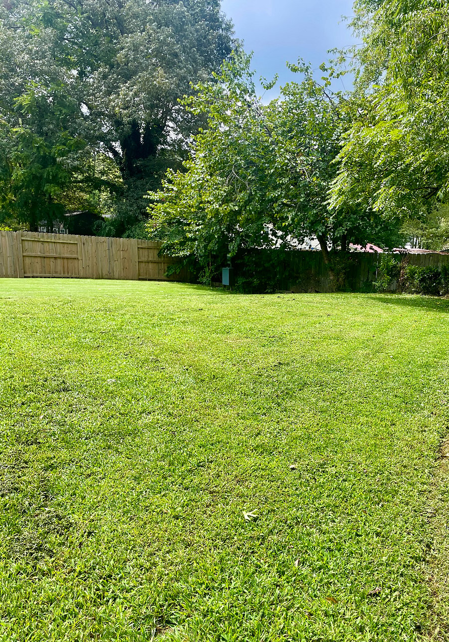 Nice green lawn in backyard. 2 sides are fenced in for privacy.