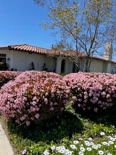 Furnished Finder property 713661_1 photo 6