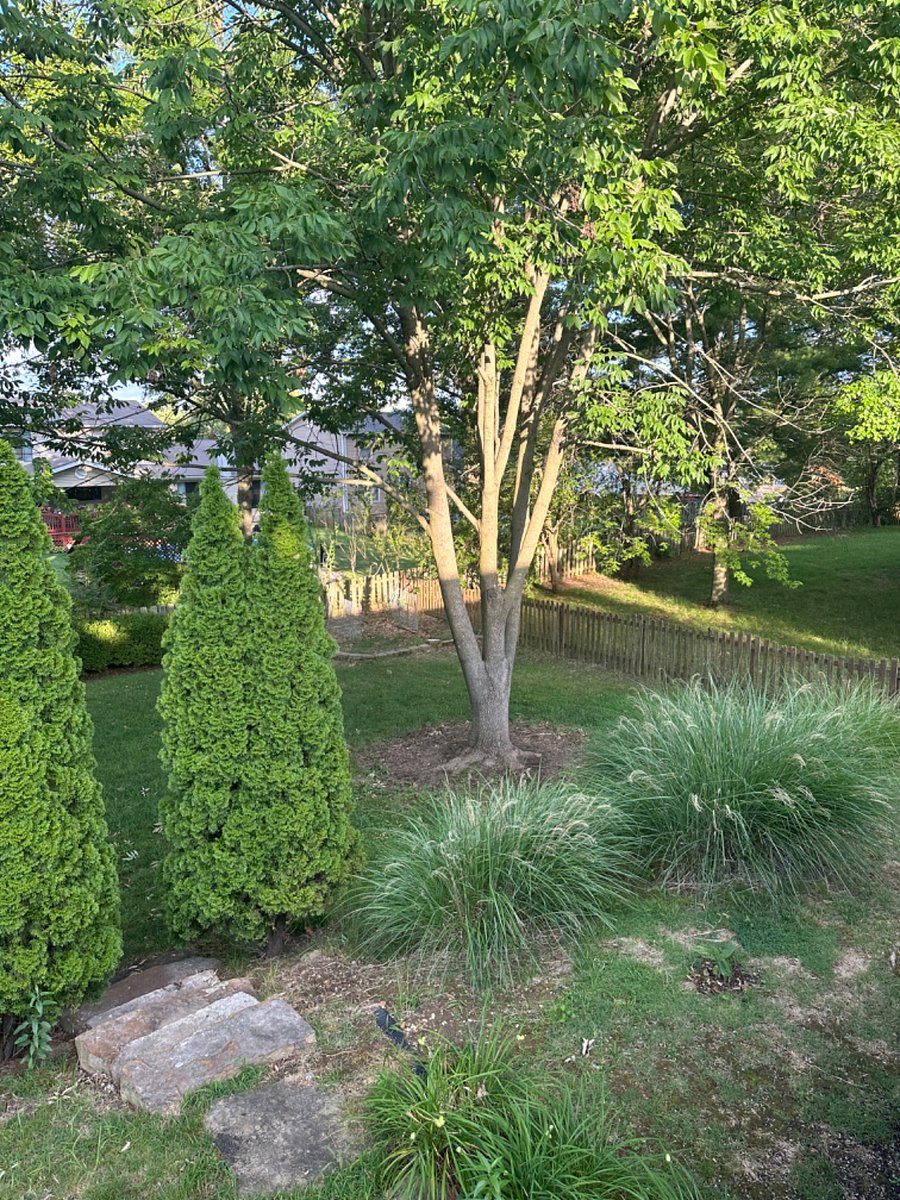 Furnished Finder property 713695_1 photo 22