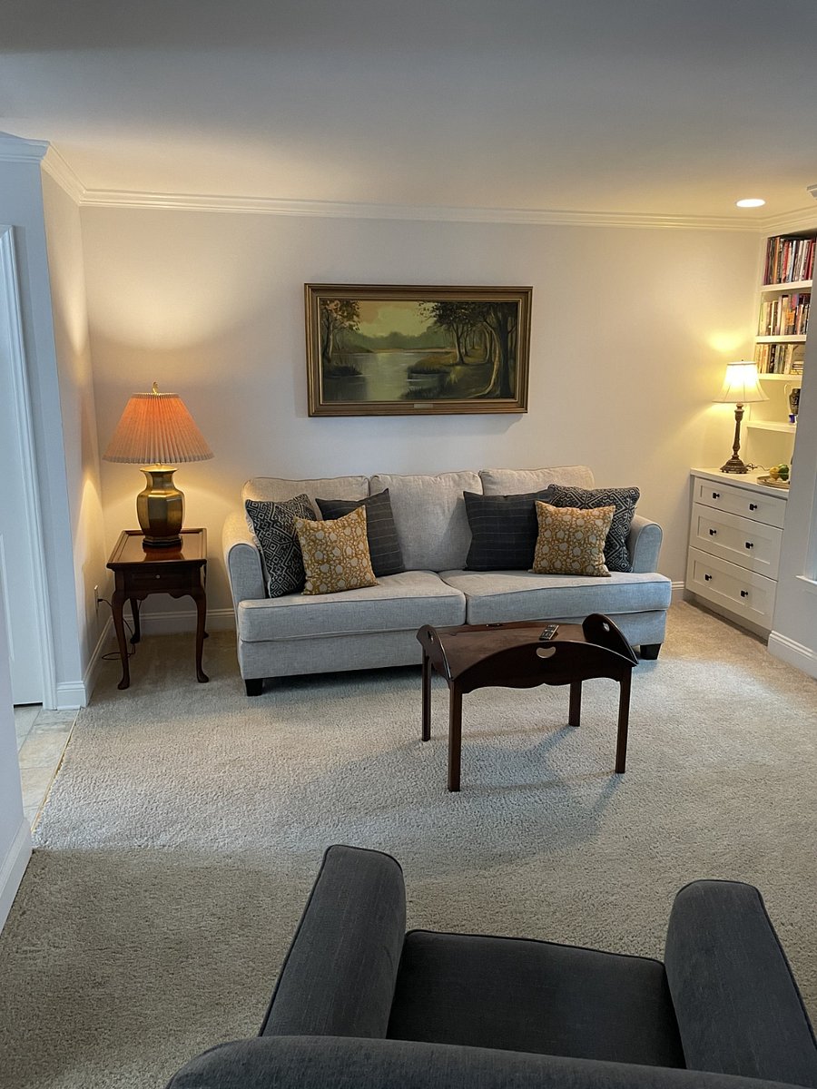 Living Room Sofa