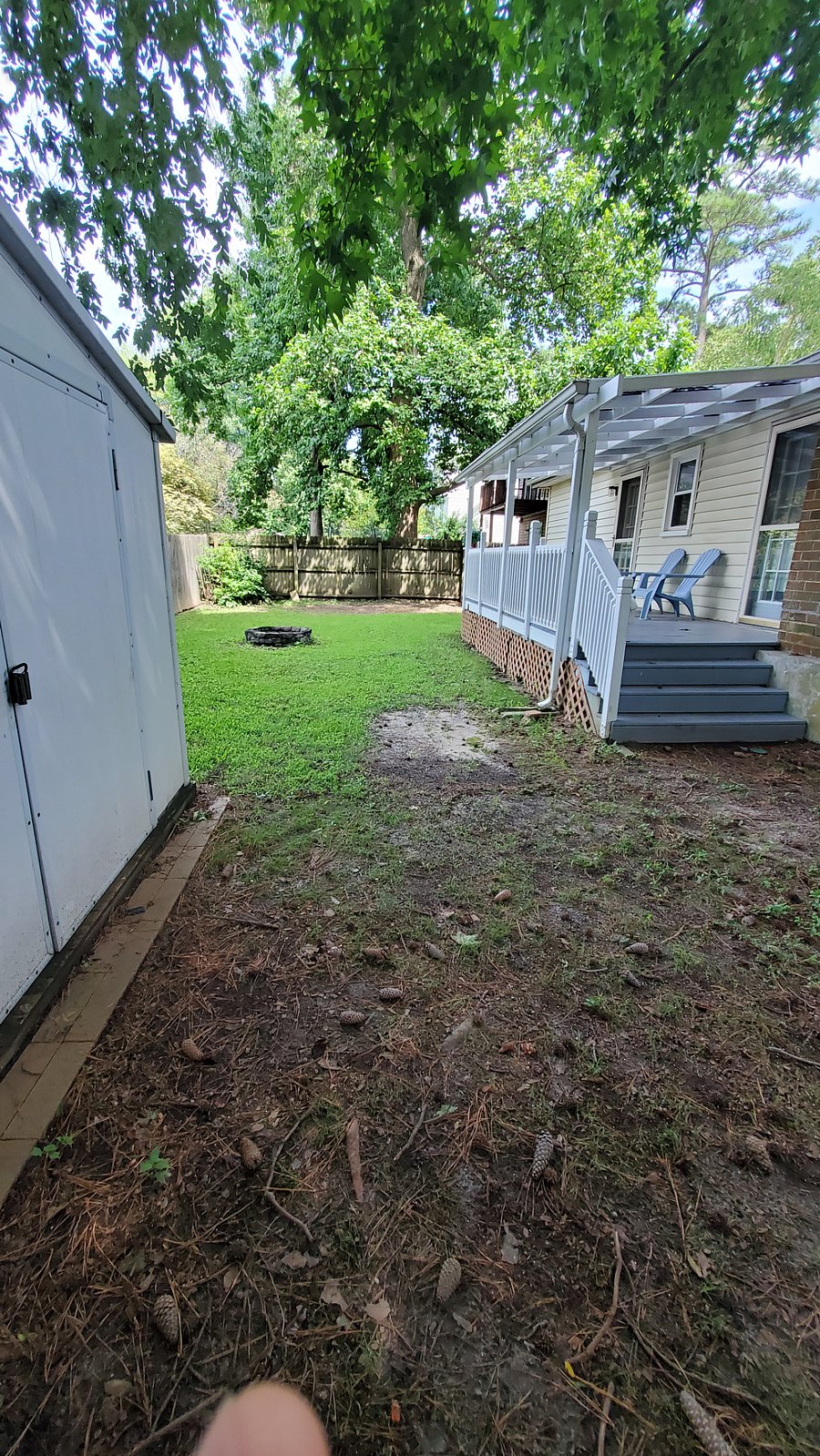Back yard