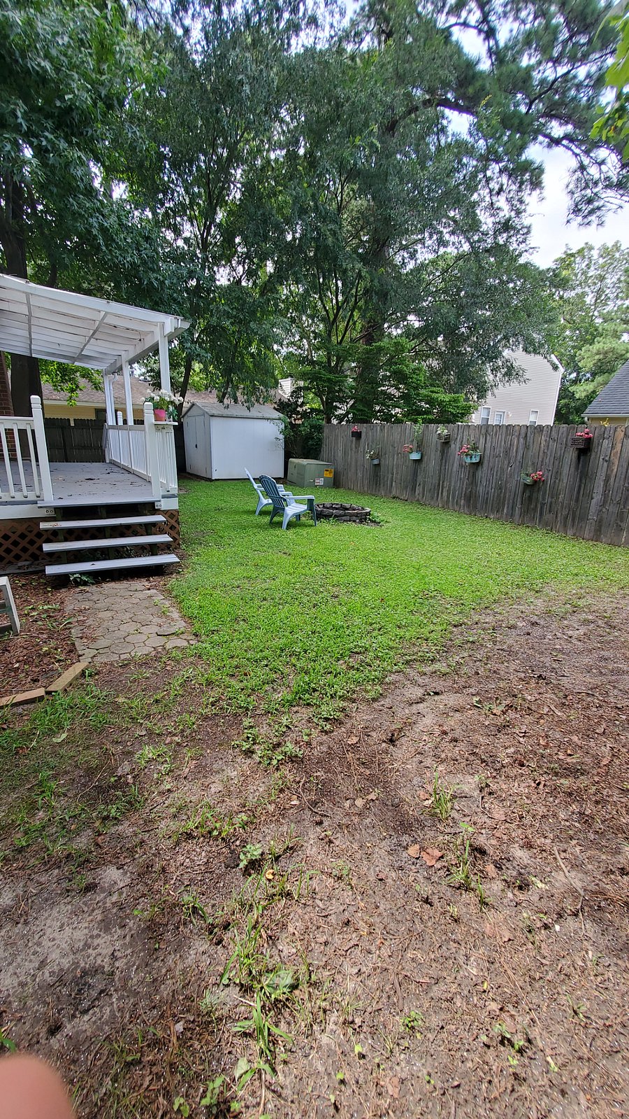 Backyard