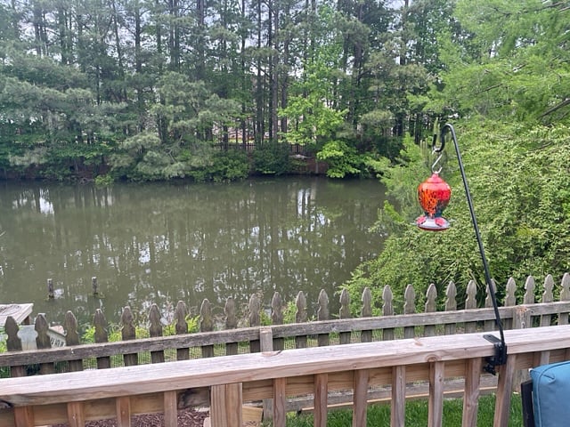 Furnished Finder property 713900_1 photo 4