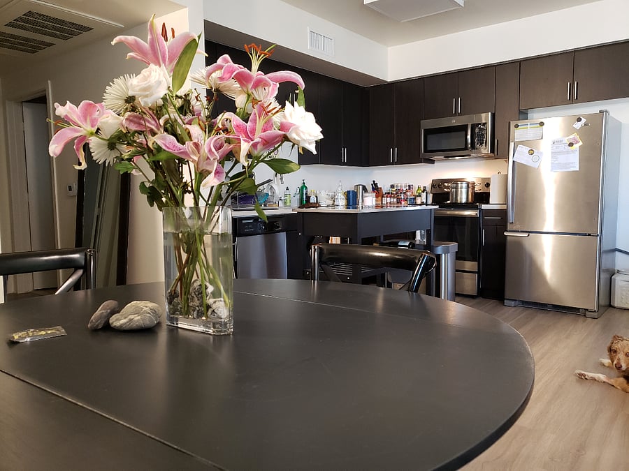 Furnished Finder property 714274_1 photo 13