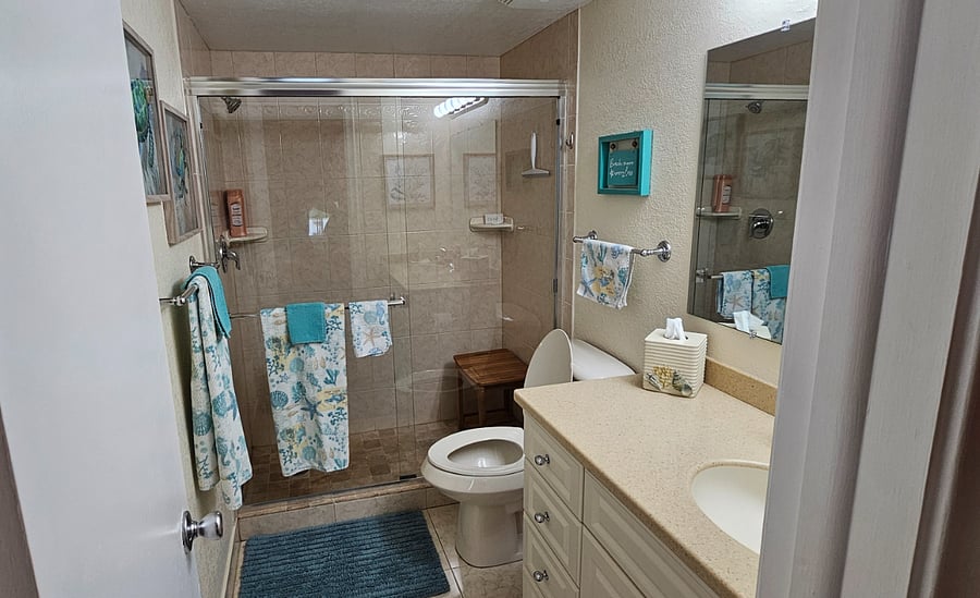 Master bathroom