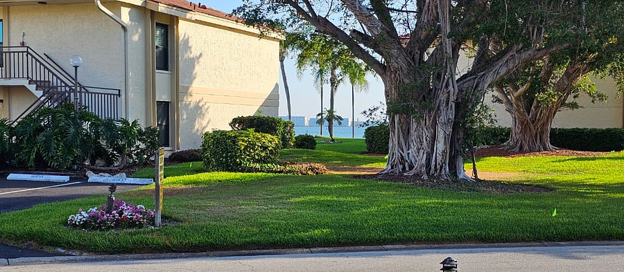 View from outside the front door of condo - a short walk over to the pool and bay